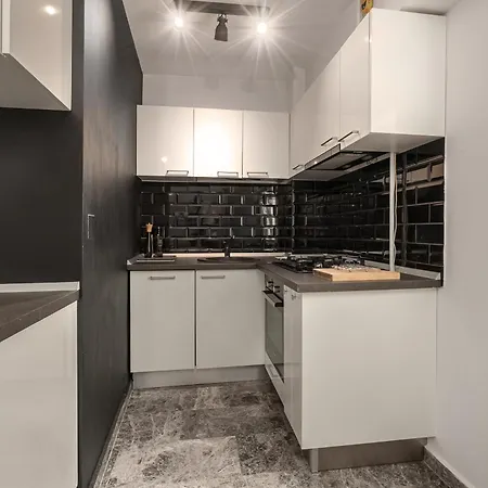 Appartement Sophisticated Two-bedroom In Mihai Bravu Bucarest